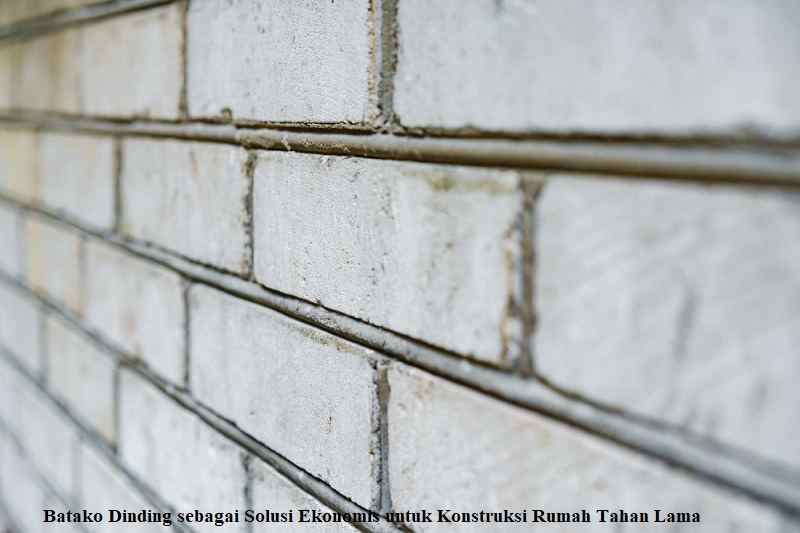 Batako Dinding sebagai Solusi Ekonomis untuk Konstruksi Rumah Tahan Lama