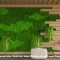 Dekorasi Moss Wall Art, Solusi Dinding Hijau Tanpa Repot