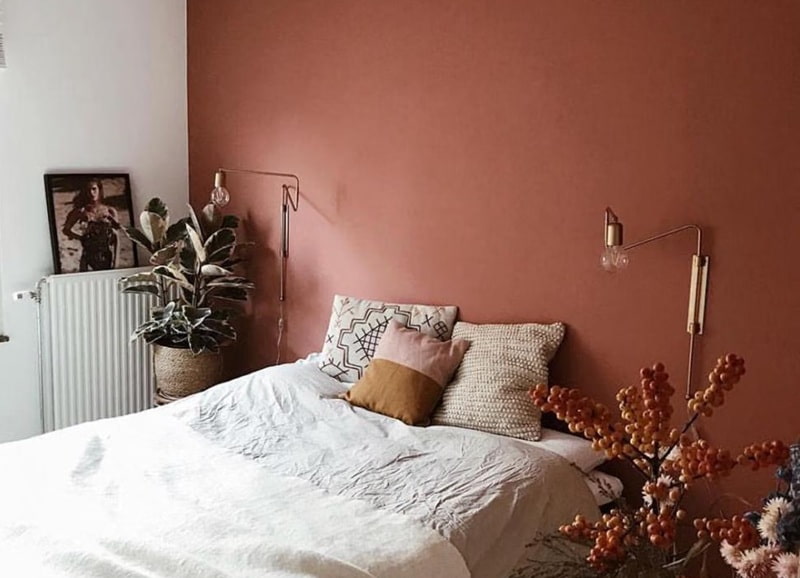 Dinding Warna Earth Tone untuk Kesan Hunian Menenangkan